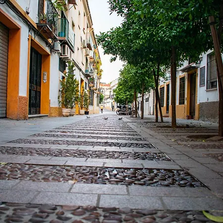 Alojamiento Entero, Centro De Con Cochera