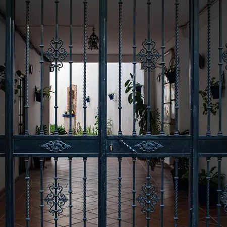 Lejlighed Entero, Centro De Con Cochera *