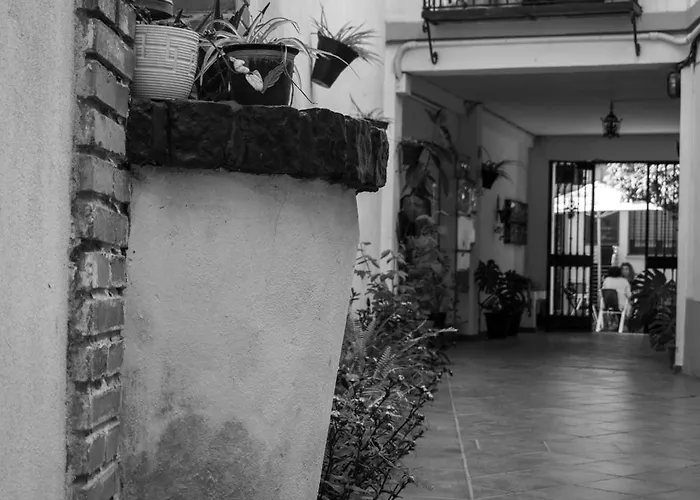 Entero, Centro De Con Cochera