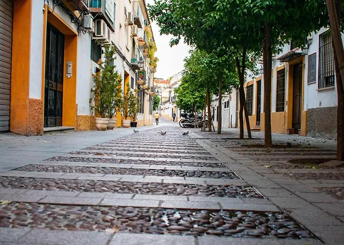 Entero, Centro De Con Cochera