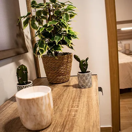 Entero, Centro De Con Cochera