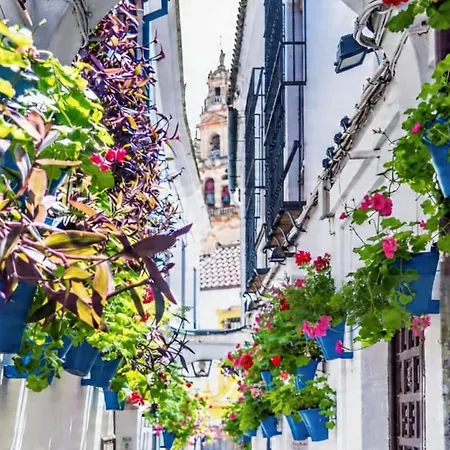 Entero, Centro De