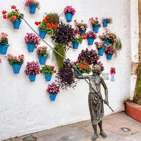 Entero, Centro De Con Cochera Apartamento Córdoba