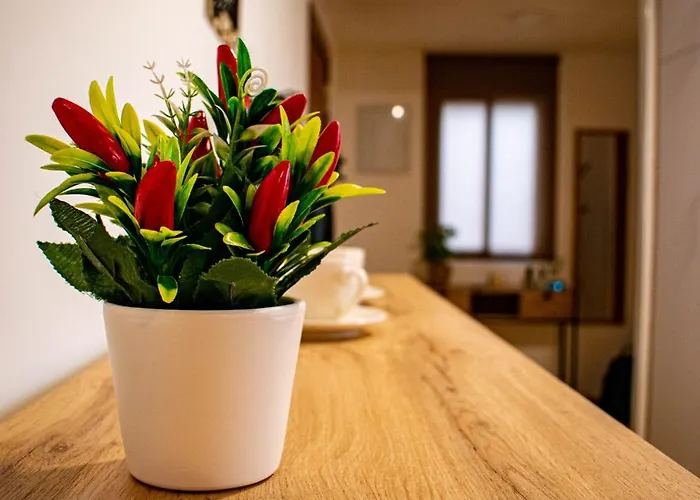 Entero, Centro De Con Cochera