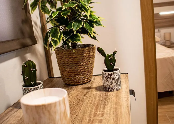 Entero, Centro De Con Cochera