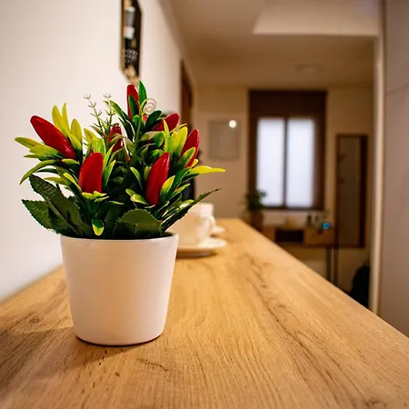 Entero, Centro De Con Cochera