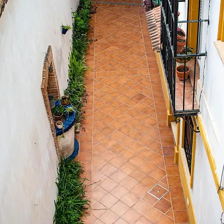 公寓 Entero, Centro De Con Cochera