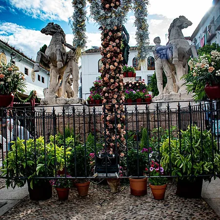 Entero, Centro De Kordoba